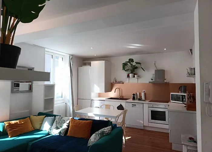 Cosy Queen - T4 - Hyper Centre & Parking Apartment Pau